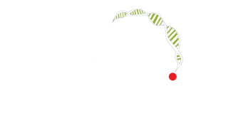 logo-light.png