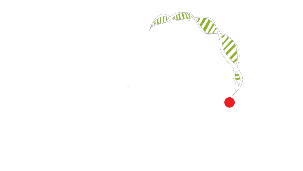 logo-light.png